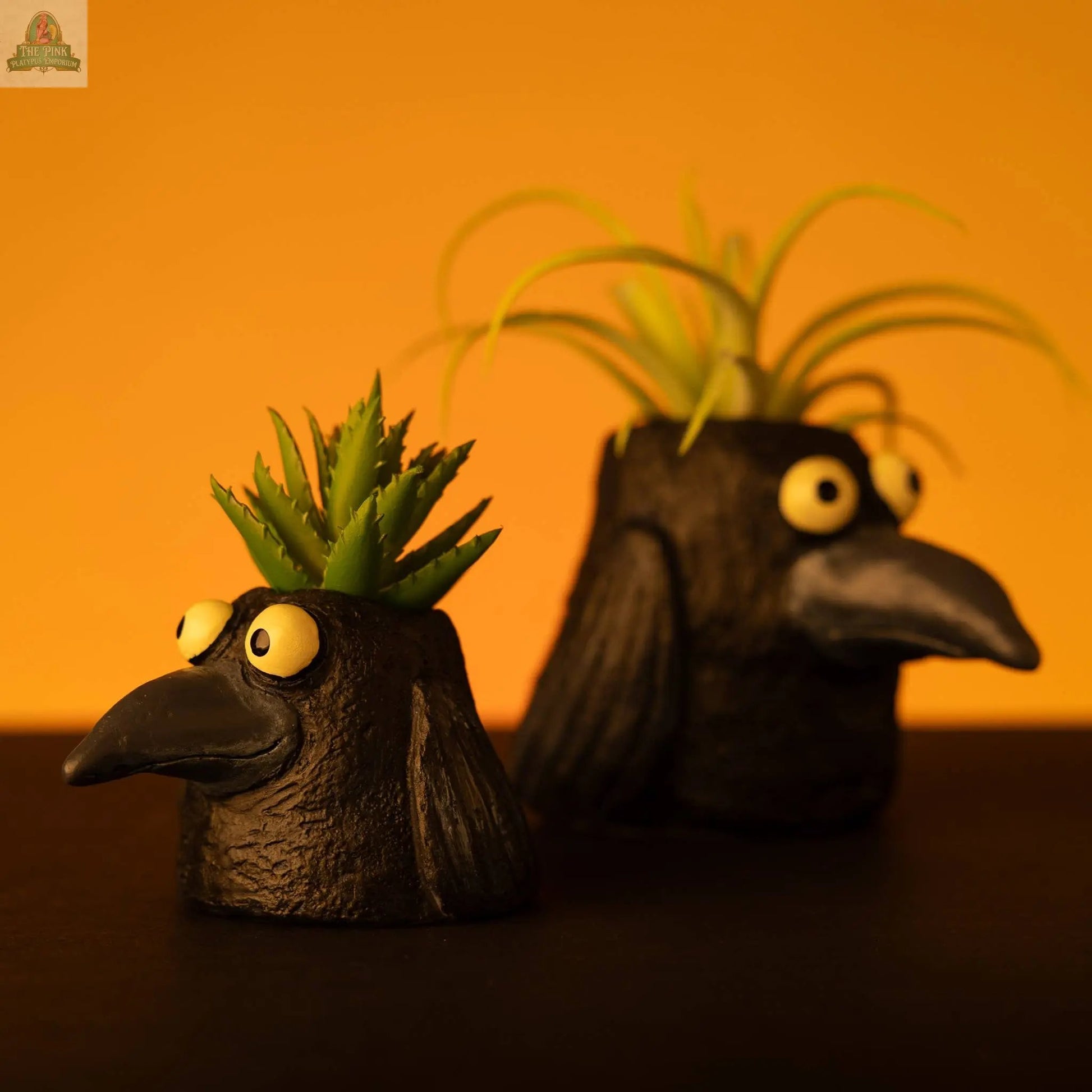 Two black Baby Eddie Crow Blobhouse poly-resin planters with bright yellow eyes and beaks hold spiky green succulents. Set against a solid warm orange background, they’re perfect for quirky home décor or displaying small plants.