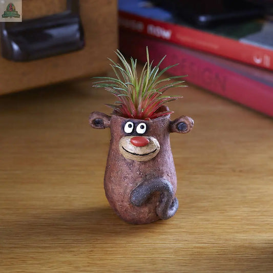 The Baby Monkey, Peeper, Mini Blobhouse Planter by Blob House Planters features a cute bear-like shape with big eyes and a red nose, holding a spiky green and red air plant. It rests on a wooden surface with books and furniture behind it.