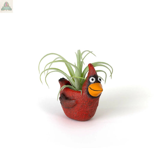 Baby Red Cardinal Blobhouse Planter - Ruby Pink Platypus Emporium