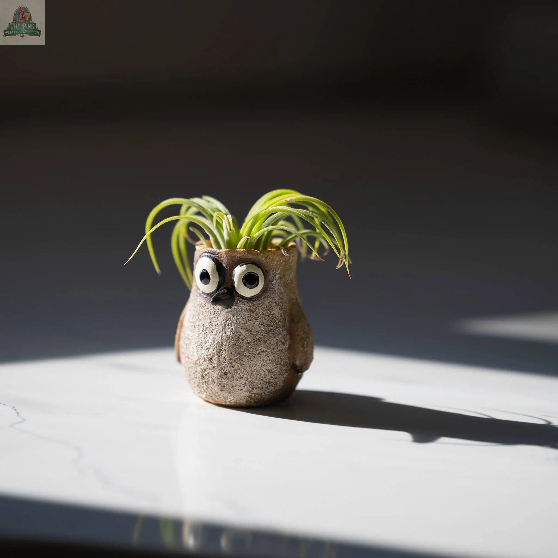 Baby Sandpiper Bird, Speck, Mini Blobhouse Planter Pink Platypus Emporium