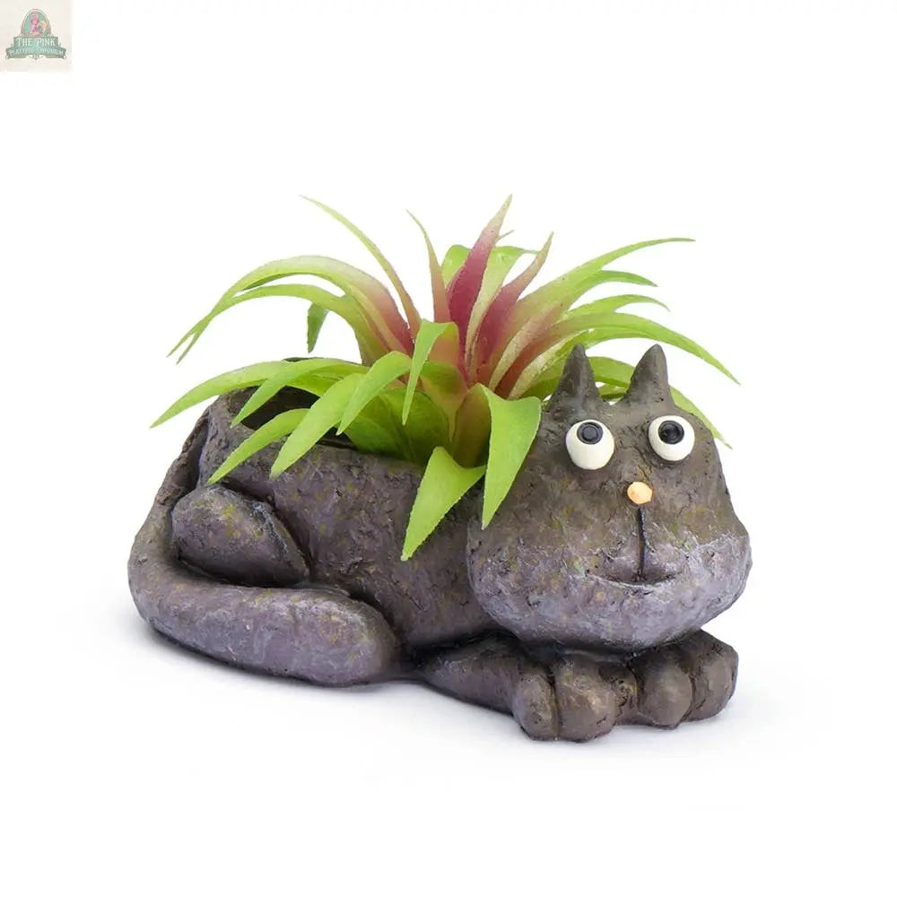 Baby Violet Mini Blobhouse Planter Pink Platypus Emporium