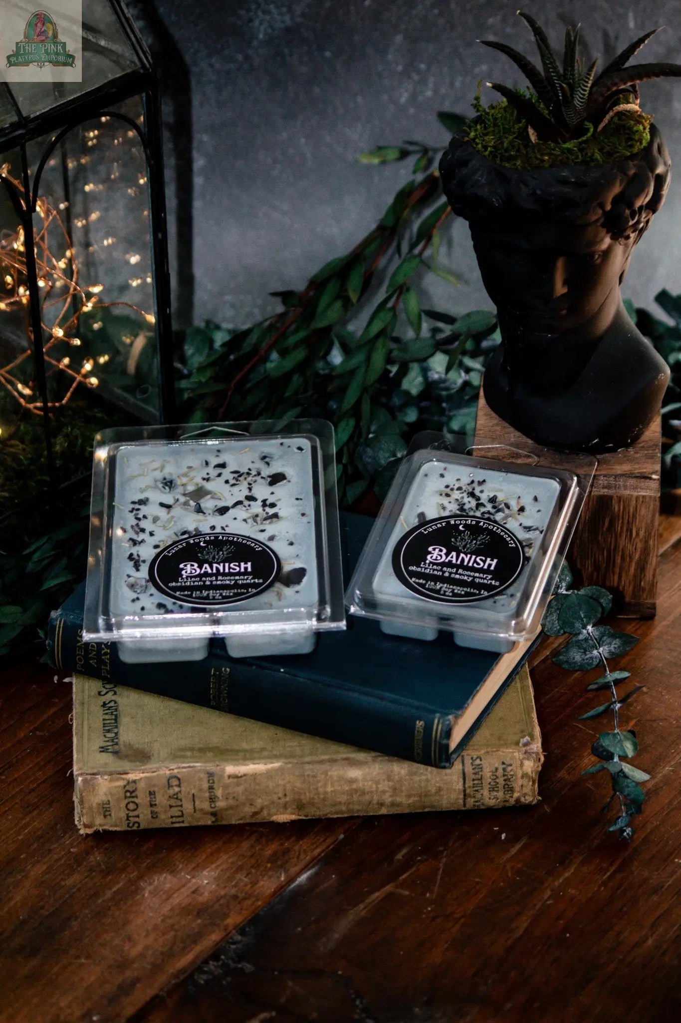 Two “Banish — Witchy Wax Melts” clamshells sit atop vintage books with greenery, a black bust planter holding a succulent, a glass lantern with string lights, and a bad vibes cleanser, creating an inviting wooden tabletop display.