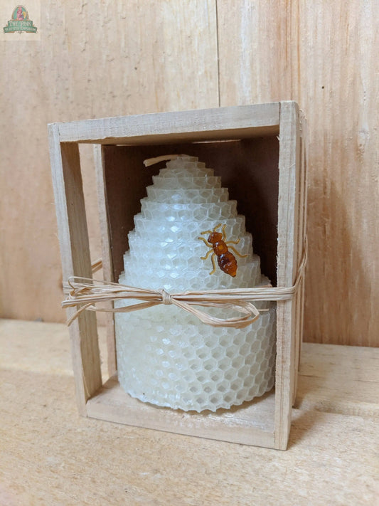 Beeswax Honey Comb (White or Yellow): White Green Pastures Wholesale