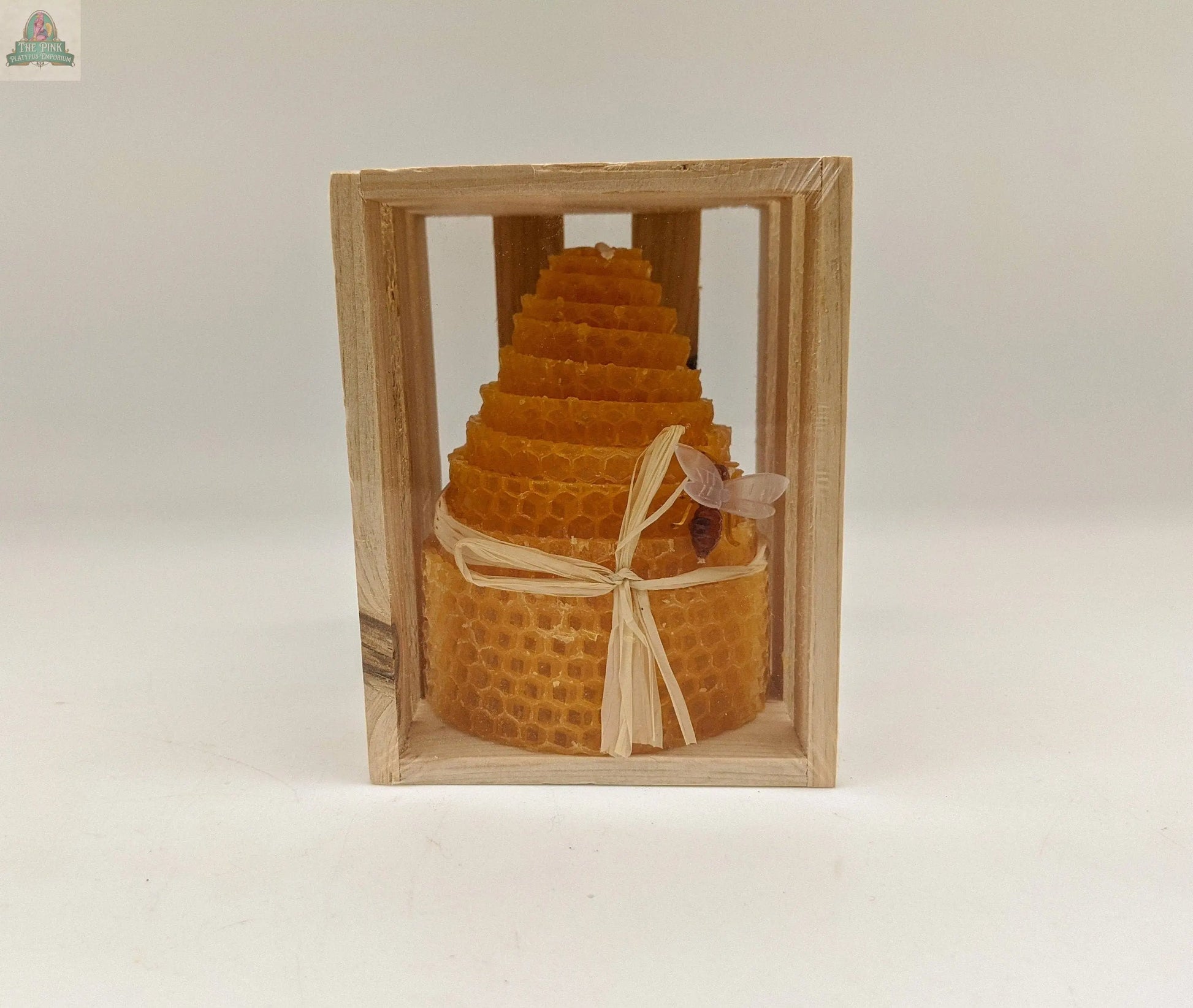 Beeswax Honey Comb (White or Yellow): Yellow Green Pastures Wholesale