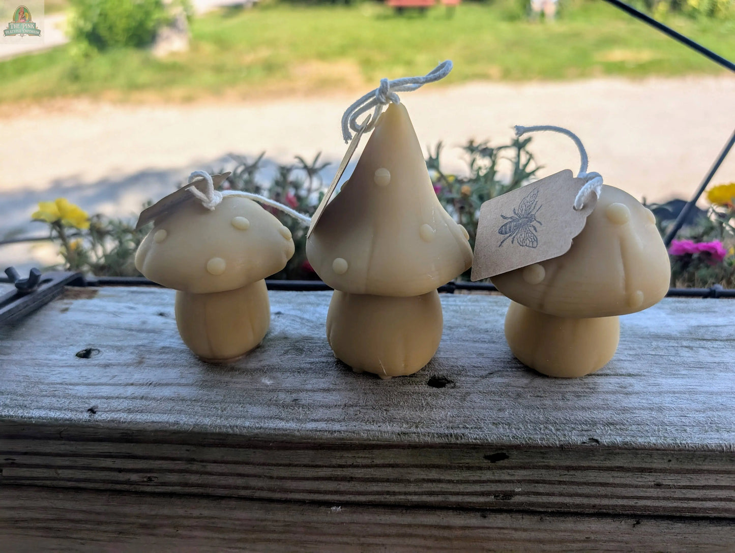 Beeswax Mushroom Candles Pink Platypus Emporium