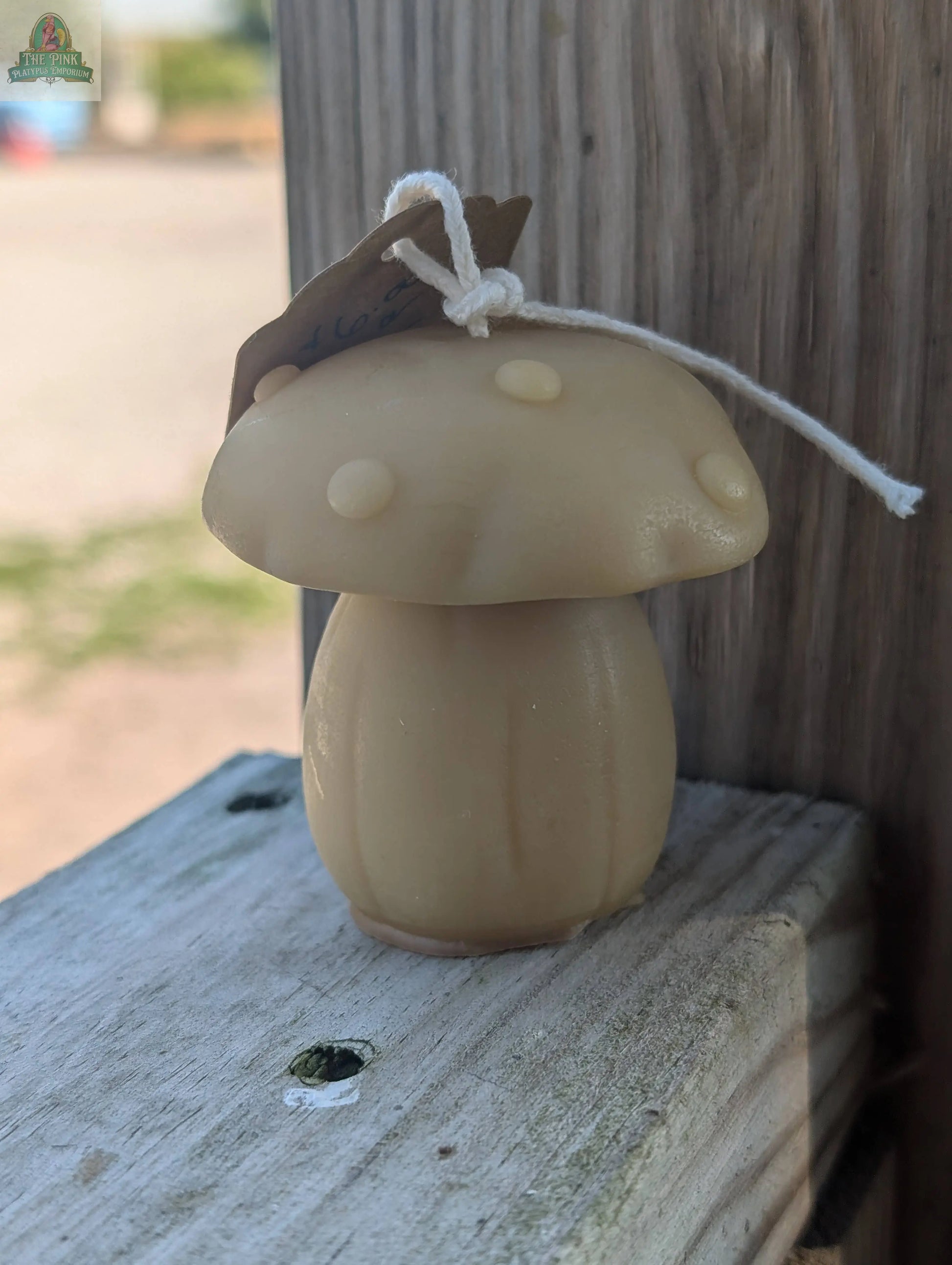 Beeswax Mushroom Candles Pink Platypus Emporium