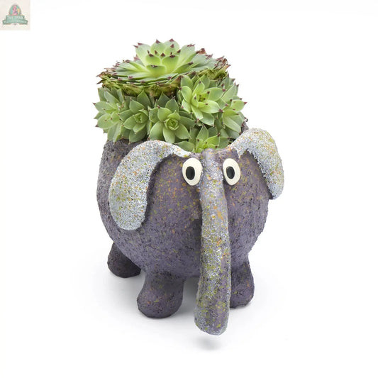 A small succulent sits in the textured purple BoBo the Elephant Blobhouse Planter by Blob House Planters, featuring large eyes and floppy ears, adding charm against a plain white background.