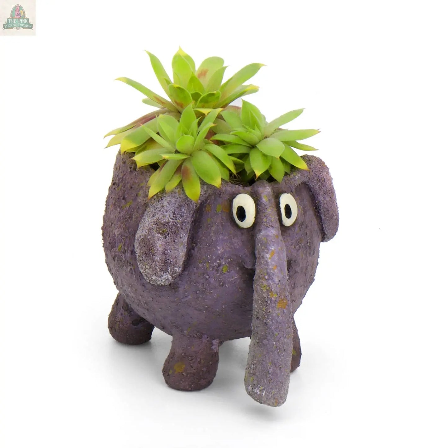 The BoBo the Elephant Blobhouse Planter by Blob House Planters features a round, purple elephant with googly eyes and a long trunk, holding green succulents for a whimsical touch against a white background.