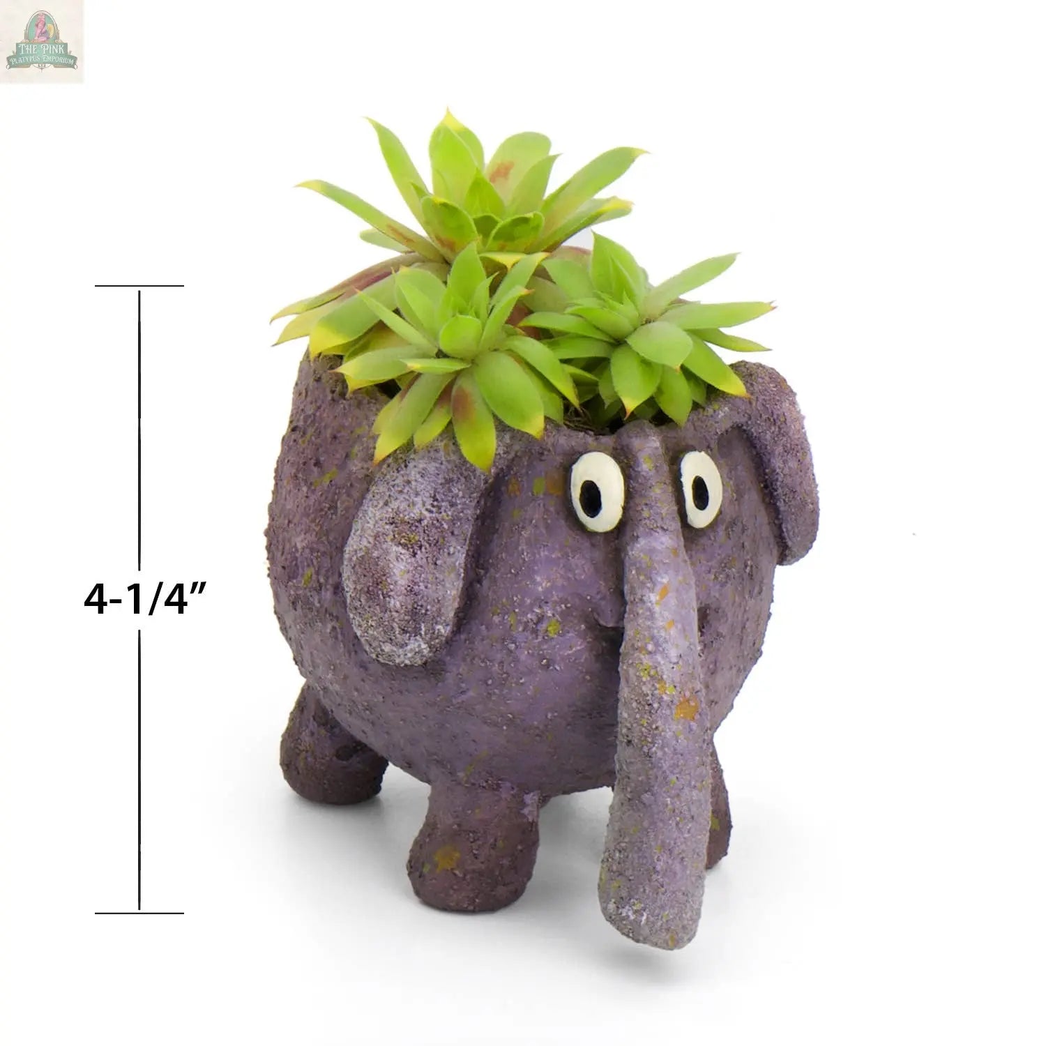 The BoBo the Elephant Blobhouse Planter by Blob House Planters, in whimsical purple with googly eyes and textured detail, stands 4-1/4" tall and holds vibrant succulents—perfect for adding cheer to any space.