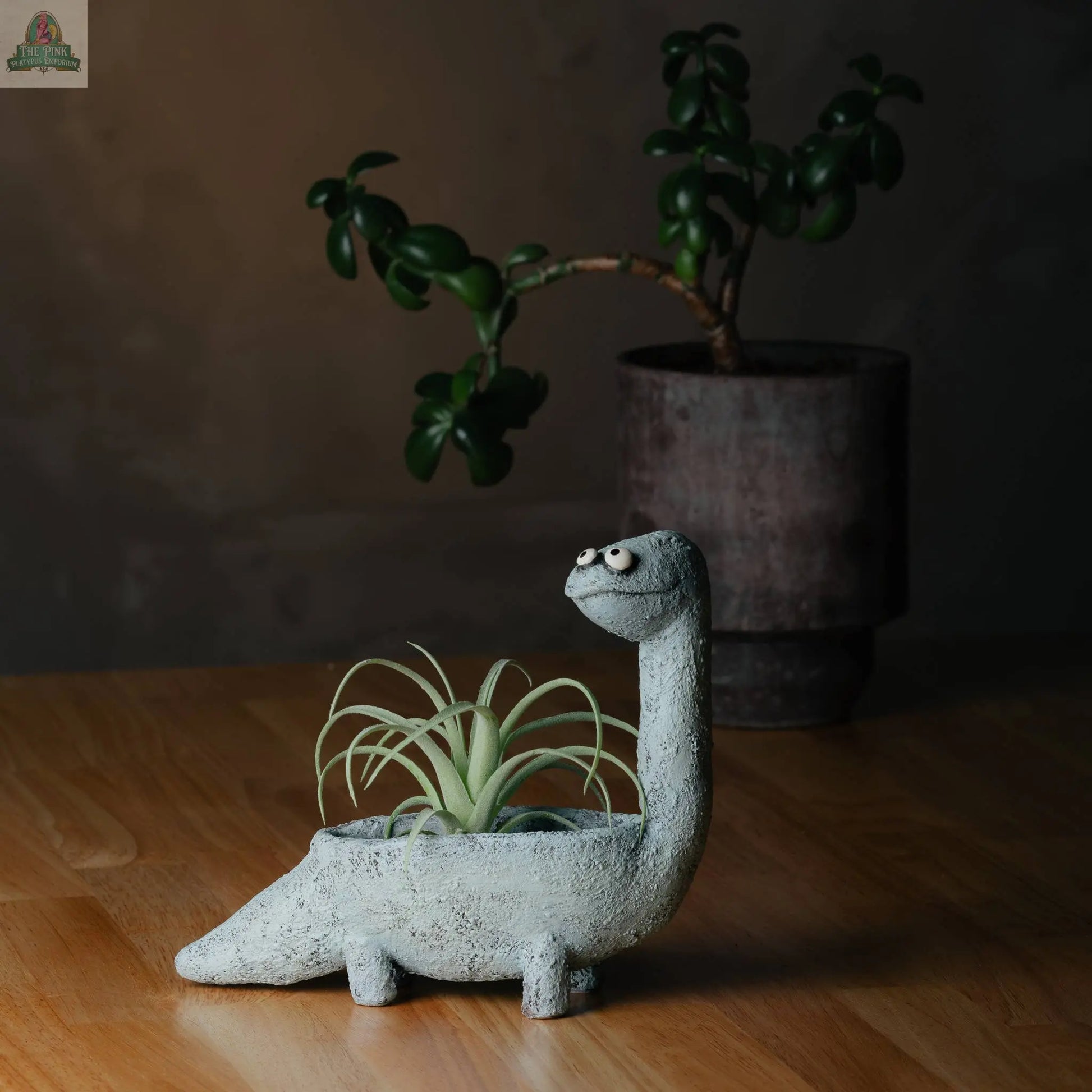 Brock the Brachiosaurus Blobhouse Planter by Blob House Planters, with its quirky face, holds a succulent on a wooden surface. A leafy plant in a dark pot and soft, moody lighting complete the scene.
