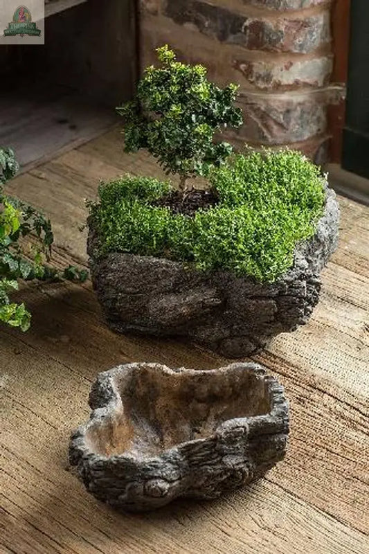 Cement Burled Bark Planter - Large Vagabond Vintage