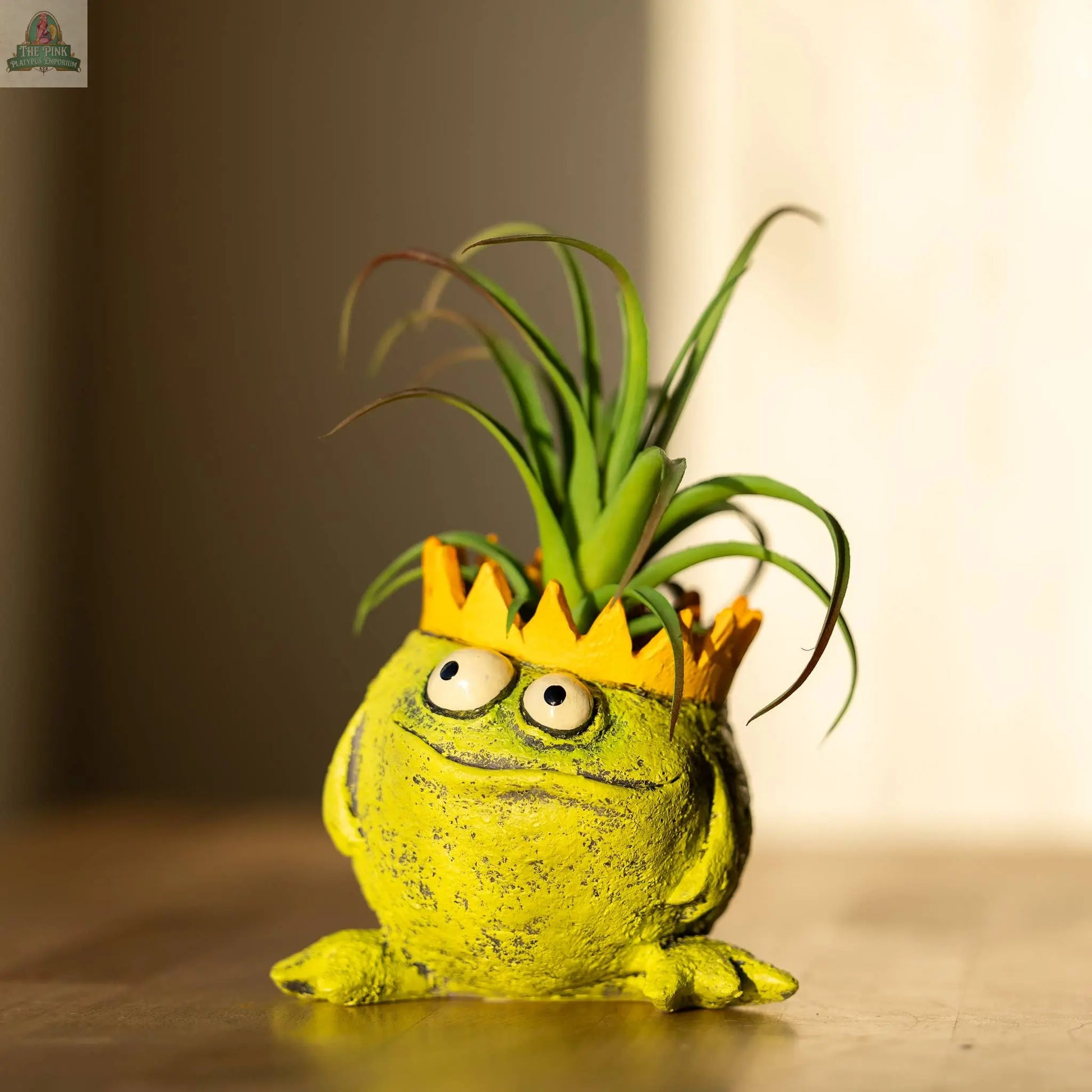 Charlie, The Frog King Blobhouse Planter Pink Platypus Emporium