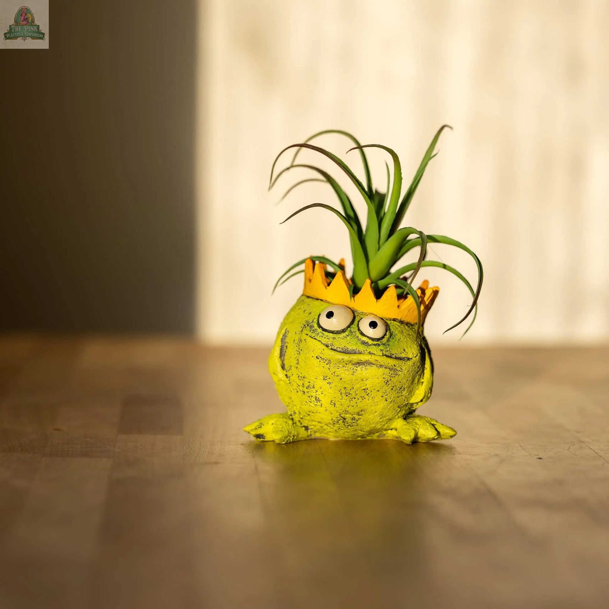 Charlie, The Frog King Blobhouse Planter Pink Platypus Emporium