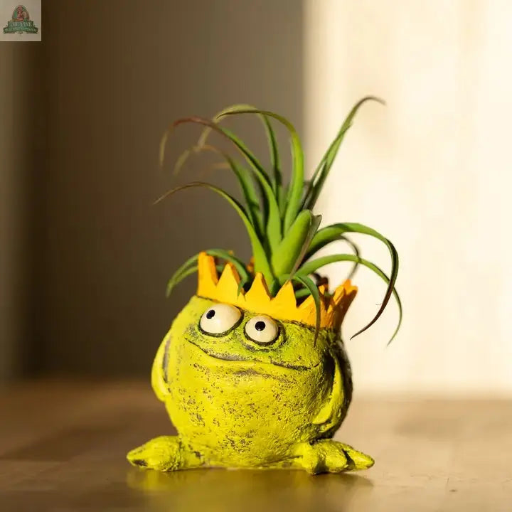 Charlie, The Frog King Blobhouse Planter Pink Platypus Emporium