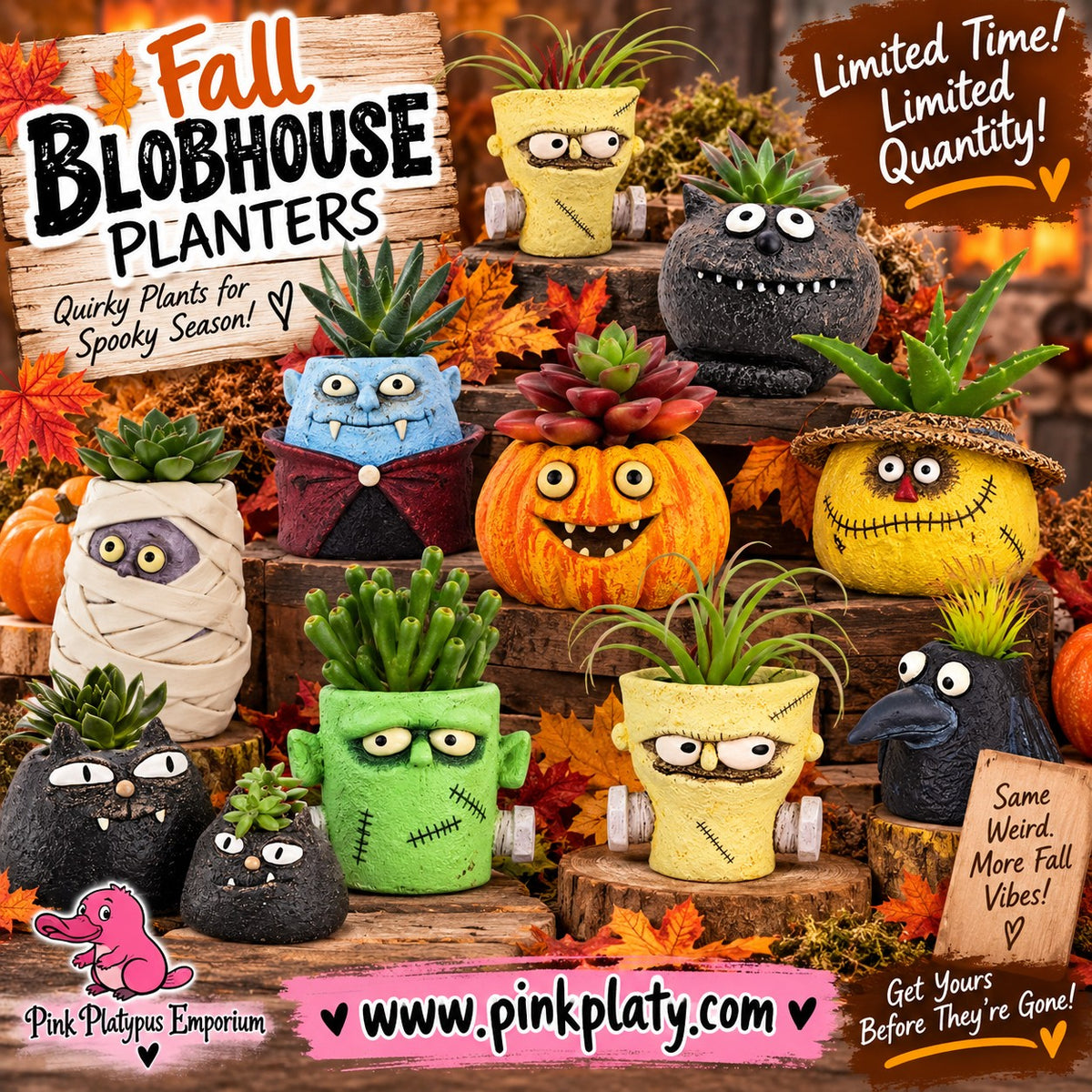Limited Edition Fall & Halloween Blobhouse Planters | Spooky Succulent Pots