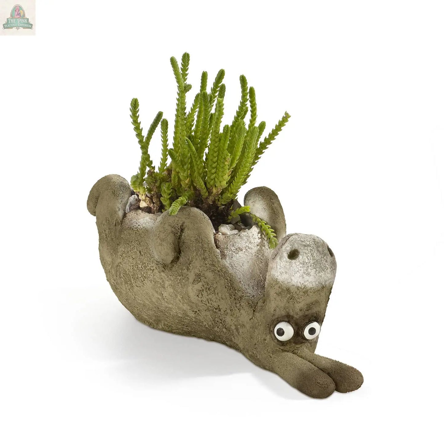 Add quirky charm to your garden with Chester, the Donkey Blobhouse Planter Laying by Pink Platypus Emporium—a handcrafted poly-resin donkey planter featuring playful details and perfect for small plants.