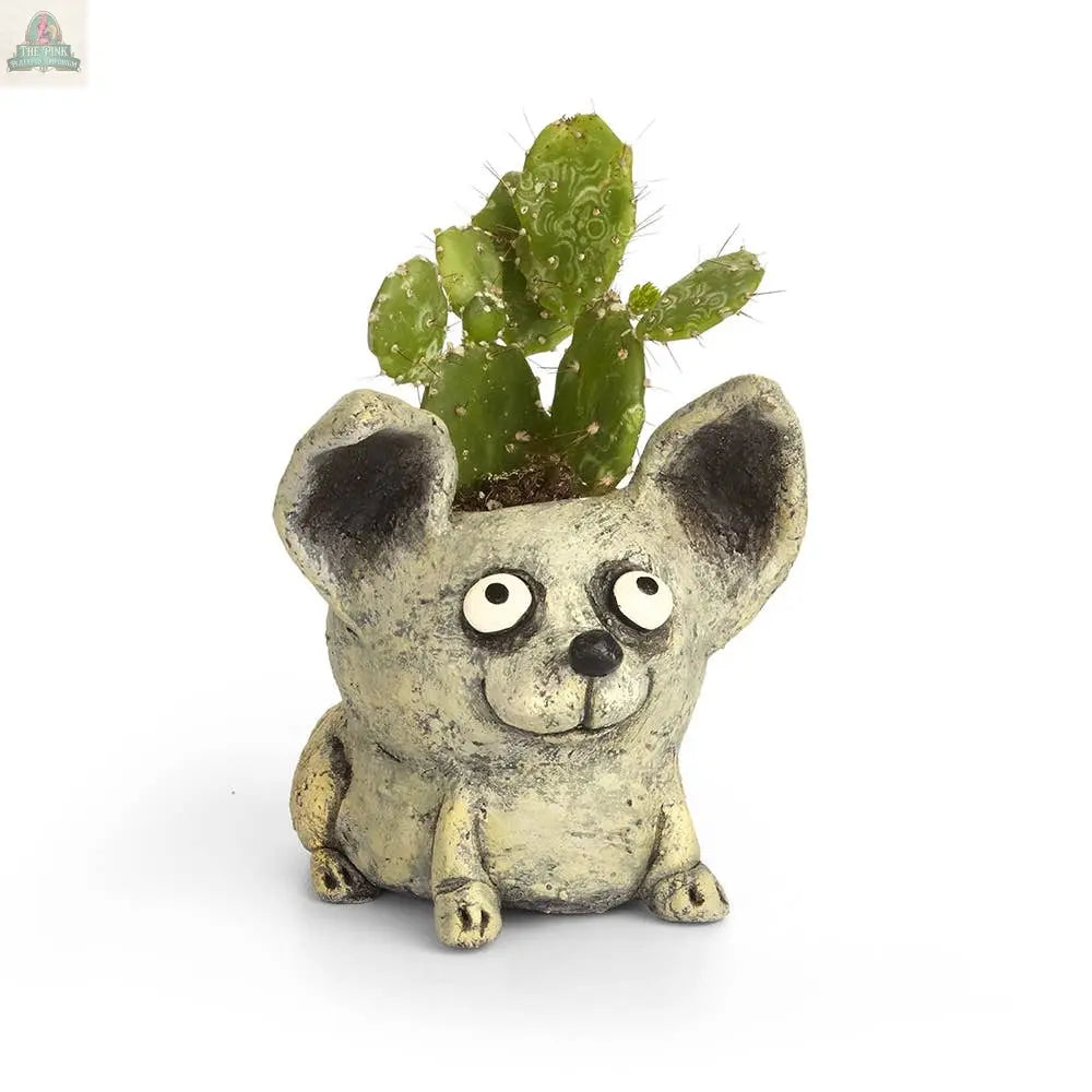 A small cactus sits in the Chico Dog Blobhouse Planter by Blob House Planters—a whimsical gray pot with big ears and cartoon eyes—set against a plain white background.