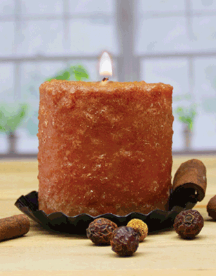 The Cinnamon Bun Mini Hearth, a lit textured brown paraffin candle, sits on a black plate amid cinnamon sticks and dried spice pods, with a window and plants blurred in the background.