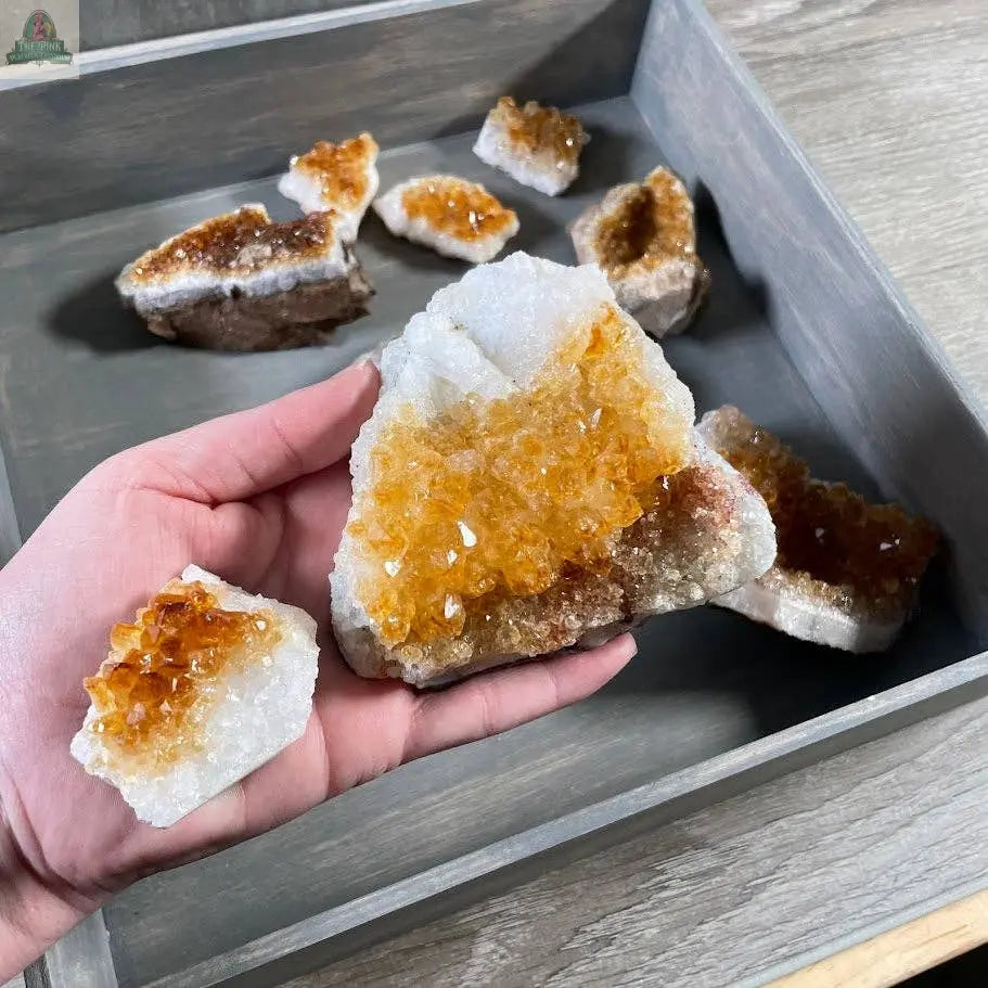 A hand holds two Keystone Crystals Citrine Crystal Clusters – Natural Golden Gemstone Décor from Pink Platypus Emporium, featuring yellow-orange centers and white edges above a tray of similar crystals on a wooden surface.