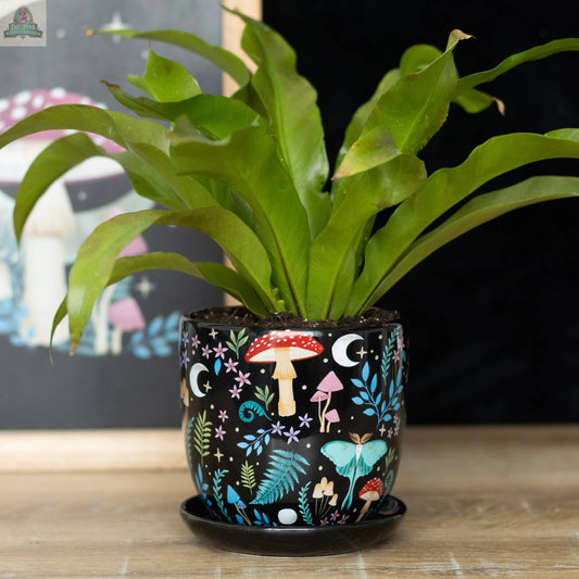 Dark Forest Print Ceramic Plant Pot with Saucer Pink Platypus Emporium