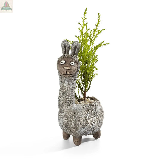 Dolly, the Llama Blobhouse Planter Pink Platypus Emporium