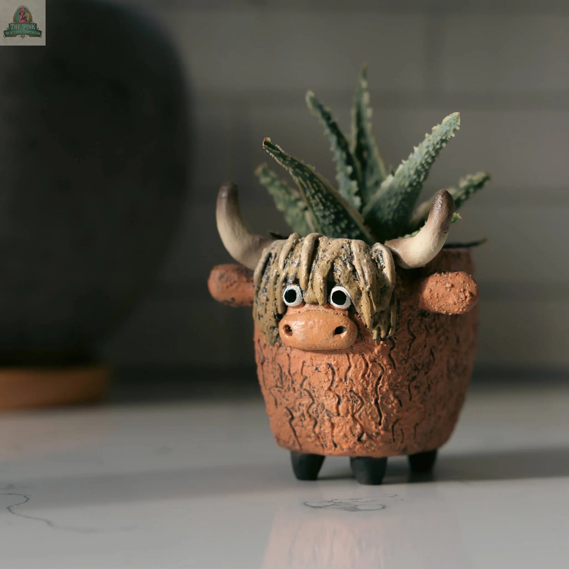 Dougal the Highland Cow Blobhouse Planter Pink Platypus Emporium