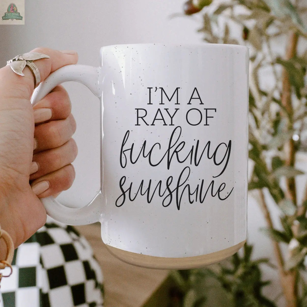 A hand holds the F'n Sunshine 16oz ceramic mug featuring bold black text, "IM A RAY OF fucking sunshine." A blurred plant and checkered object appear in the background.