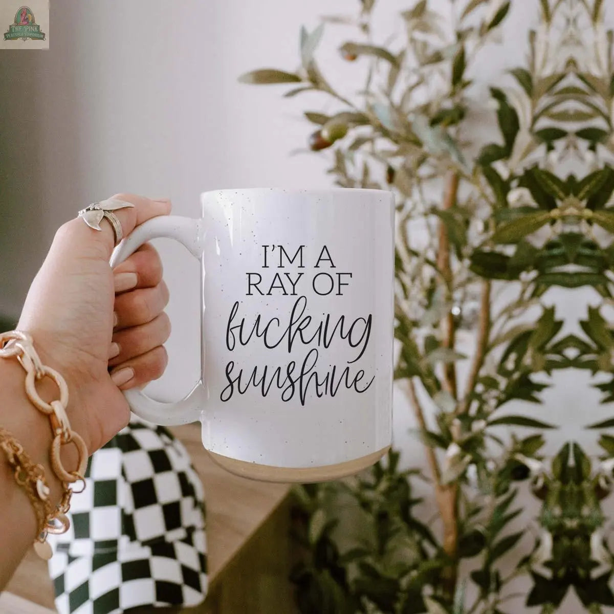 A hand holds the F'n Sunshine 16oz ceramic mug, featuring "IM A RAY OF fucking sunshine" text, with leafy green plants and a black-and-white checkered item in the background.