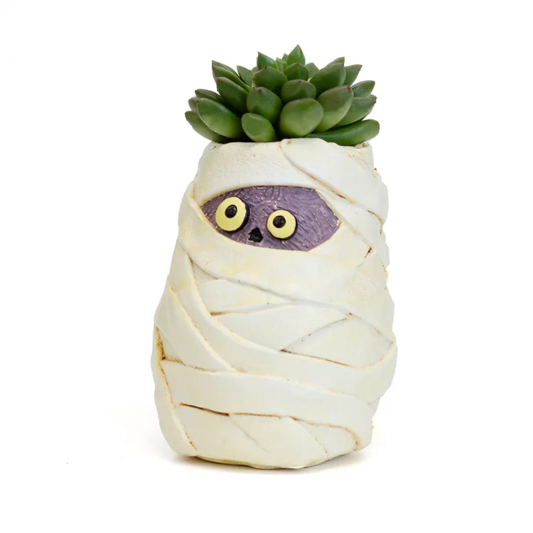 Limited Edition Fall & Halloween Blobhouse Planters | Spooky Succulent Pots