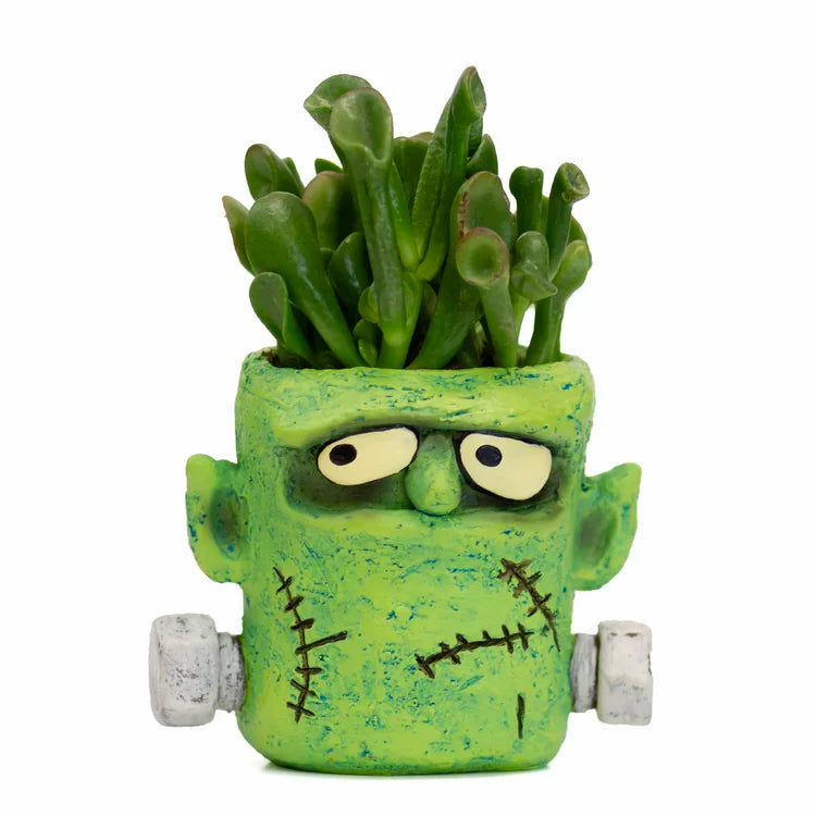 Limited Edition Fall & Halloween Blobhouse Planters | Spooky Succulent Pots