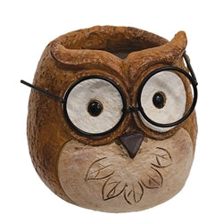 Owl-shaped planter with glasses on a white background