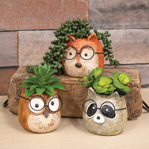 Woodland animal planter set showing fox planter, owl planter and racoon planter, all with glasses and succulents on a wood plank background