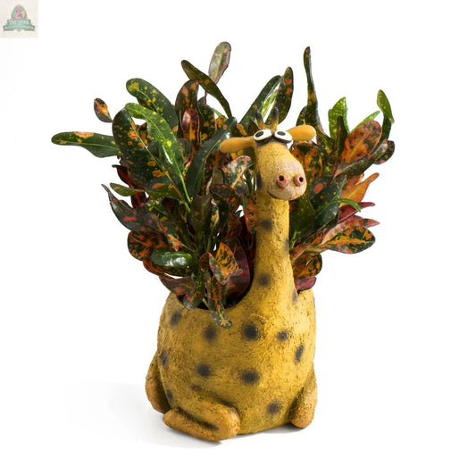 George the Giraffe Blobhouse Planter Pink Platypus Emporium