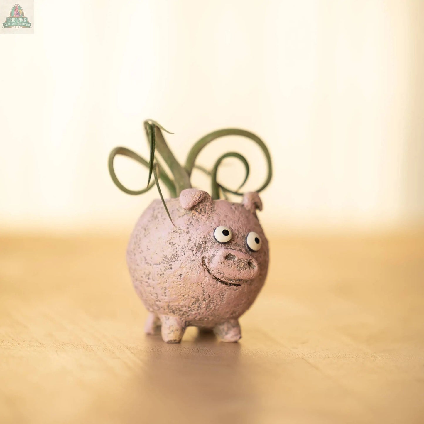 Henrietta the Pig Blobhouse Planter—a small, pink poly-resin planter with a big-eyed, smiling face—holds a green air plant. This adorable décor piece sits on a wooden surface against a soft, light background.