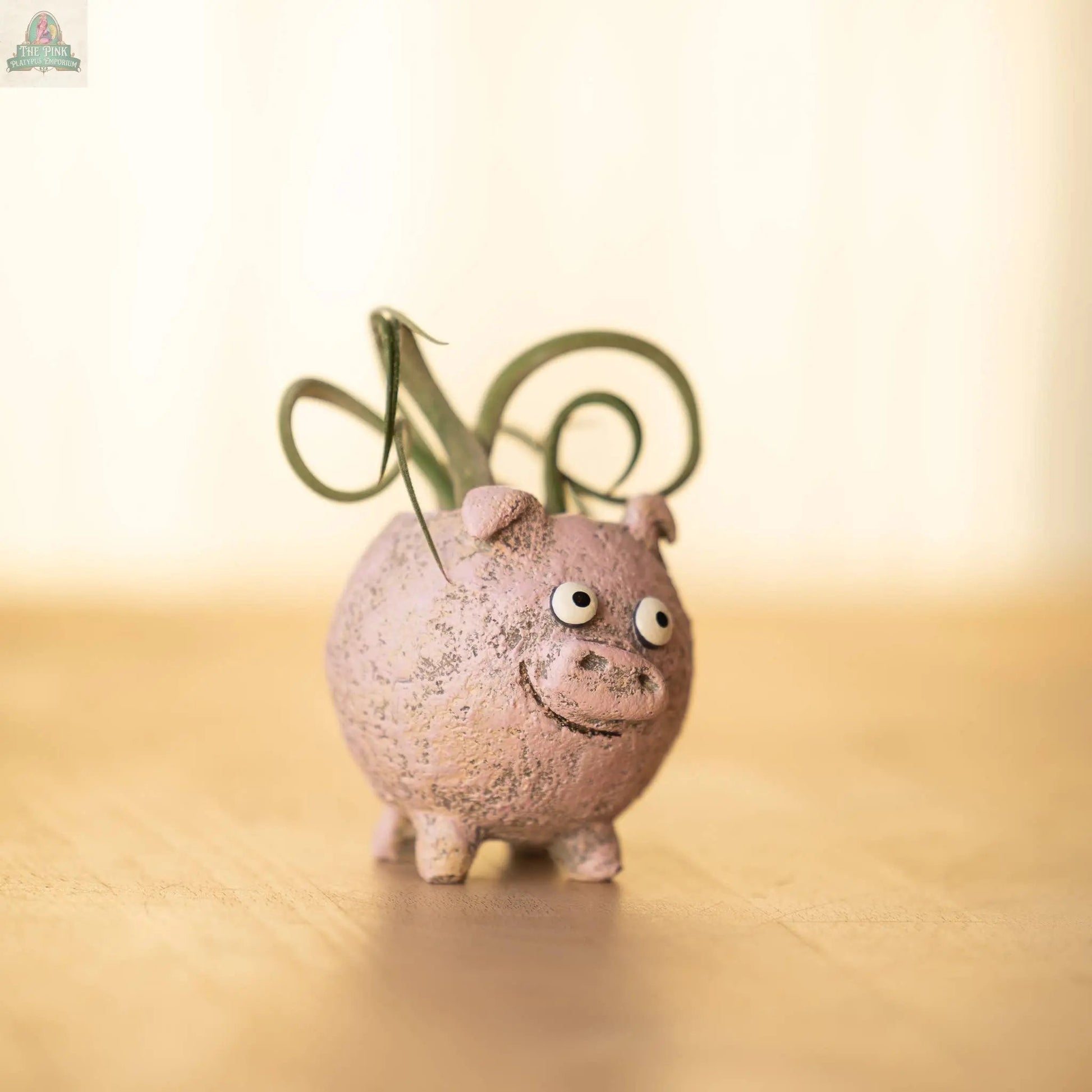 Henrietta the Pig Blobhouse Planter—a small, pink poly-resin planter with a big-eyed, smiling face—holds a green air plant. This adorable décor piece sits on a wooden surface against a soft, light background.