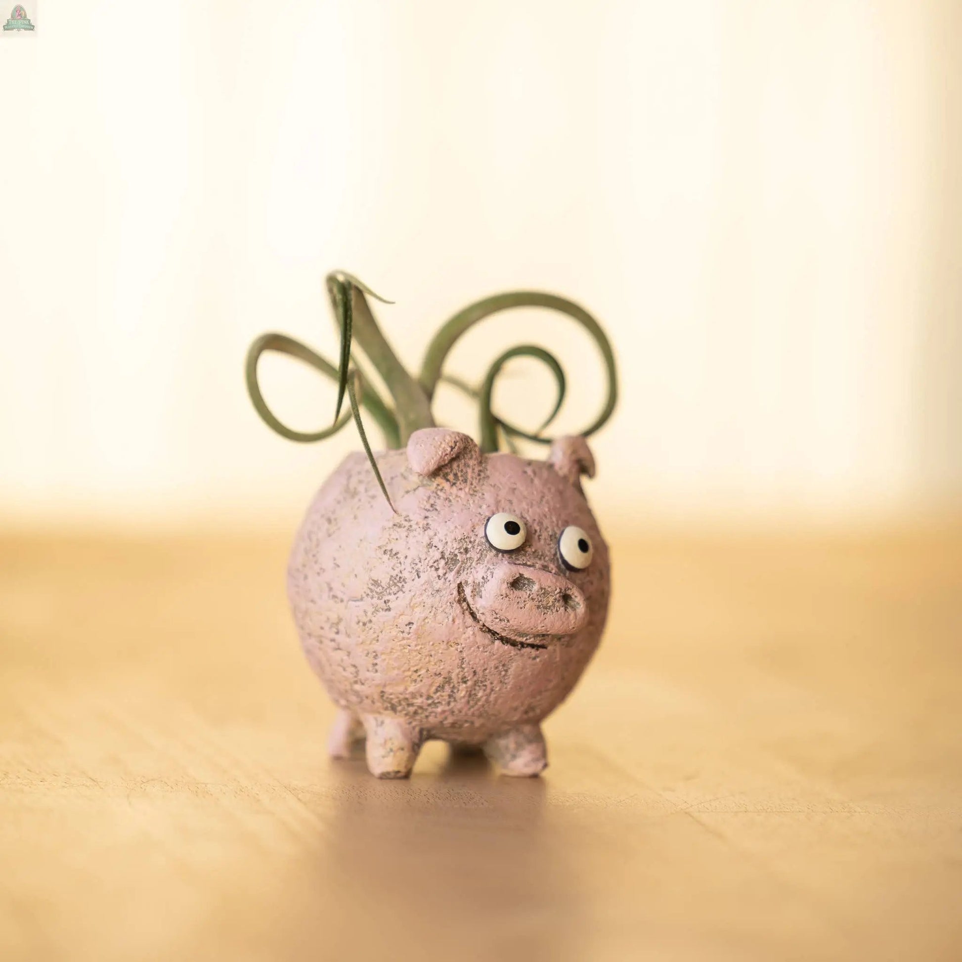 Henrietta the Pig Blobhouse Planter—a small, pink poly-resin planter with a big-eyed, smiling face—holds a green air plant. This adorable décor piece sits on a wooden surface against a soft, light background.