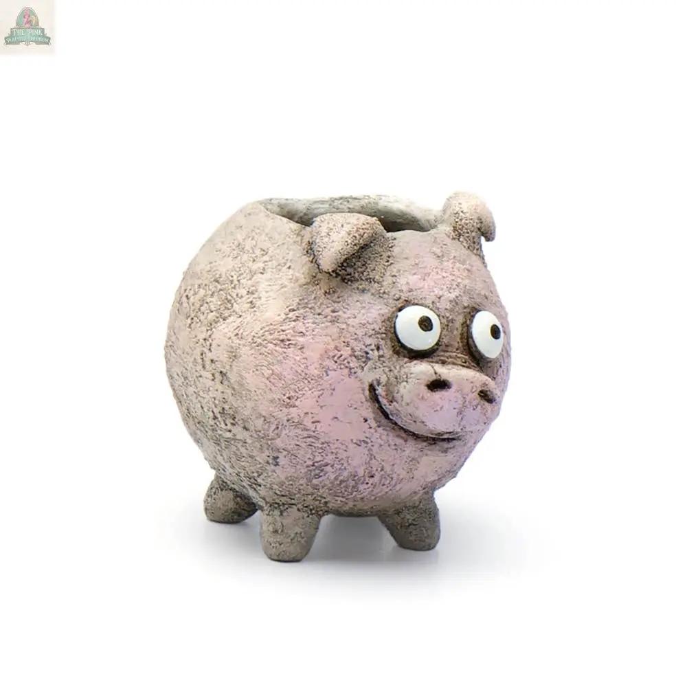 Add quirky charm to your décor with the Henrietta the Pig Blobhouse Planter—a small, round, pink and gray ceramic planter featuring exaggerated eyes, a snout, and four stubby legs. Perfect for showcasing your favorite small plants.