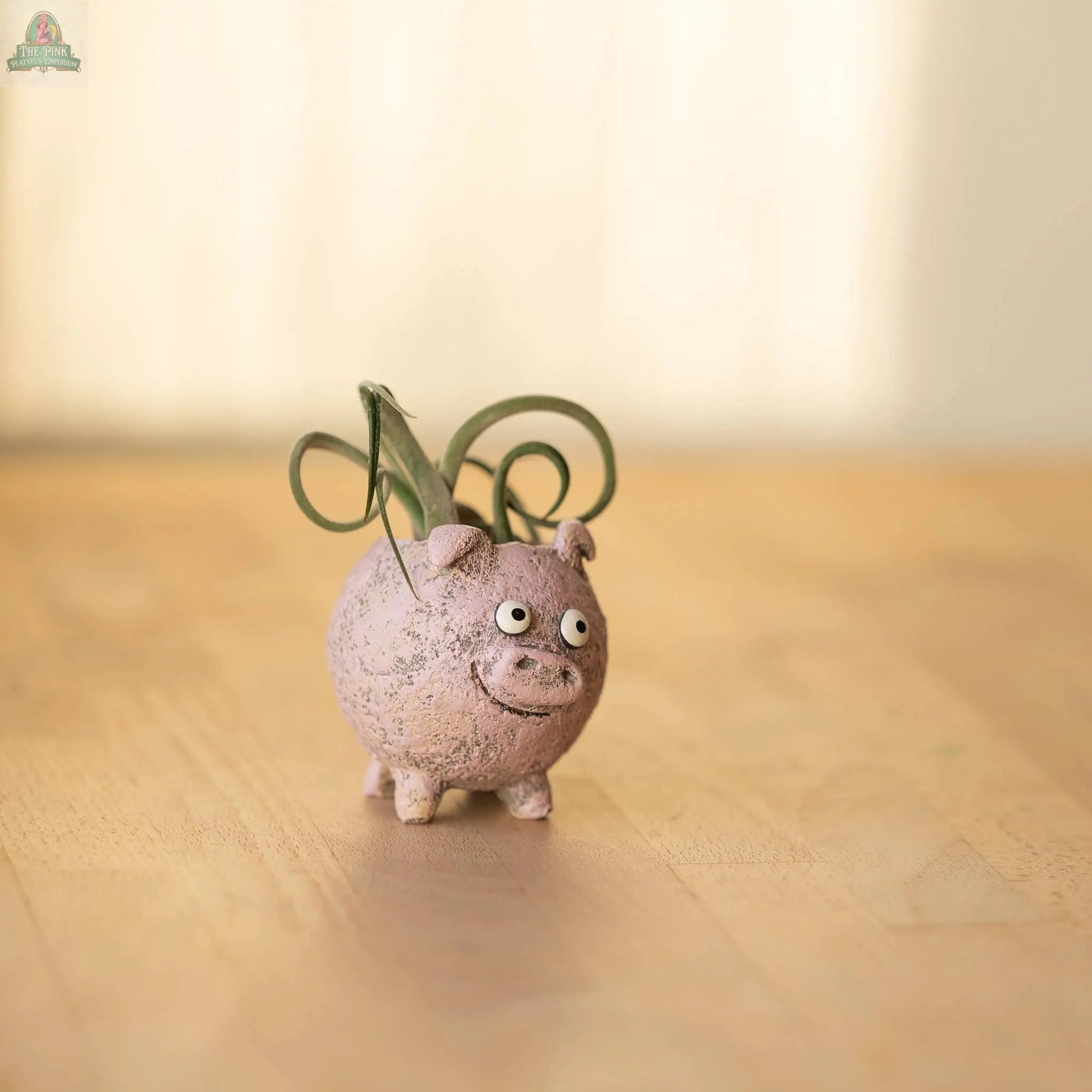 Henrietta the Pig Blobhouse Planter is a small, round, pink poly-resin pot with googly eyes and a smiling face, ideal for small plants. Its quirky design adds charm to any home décor and brings a playful touch to your space.
