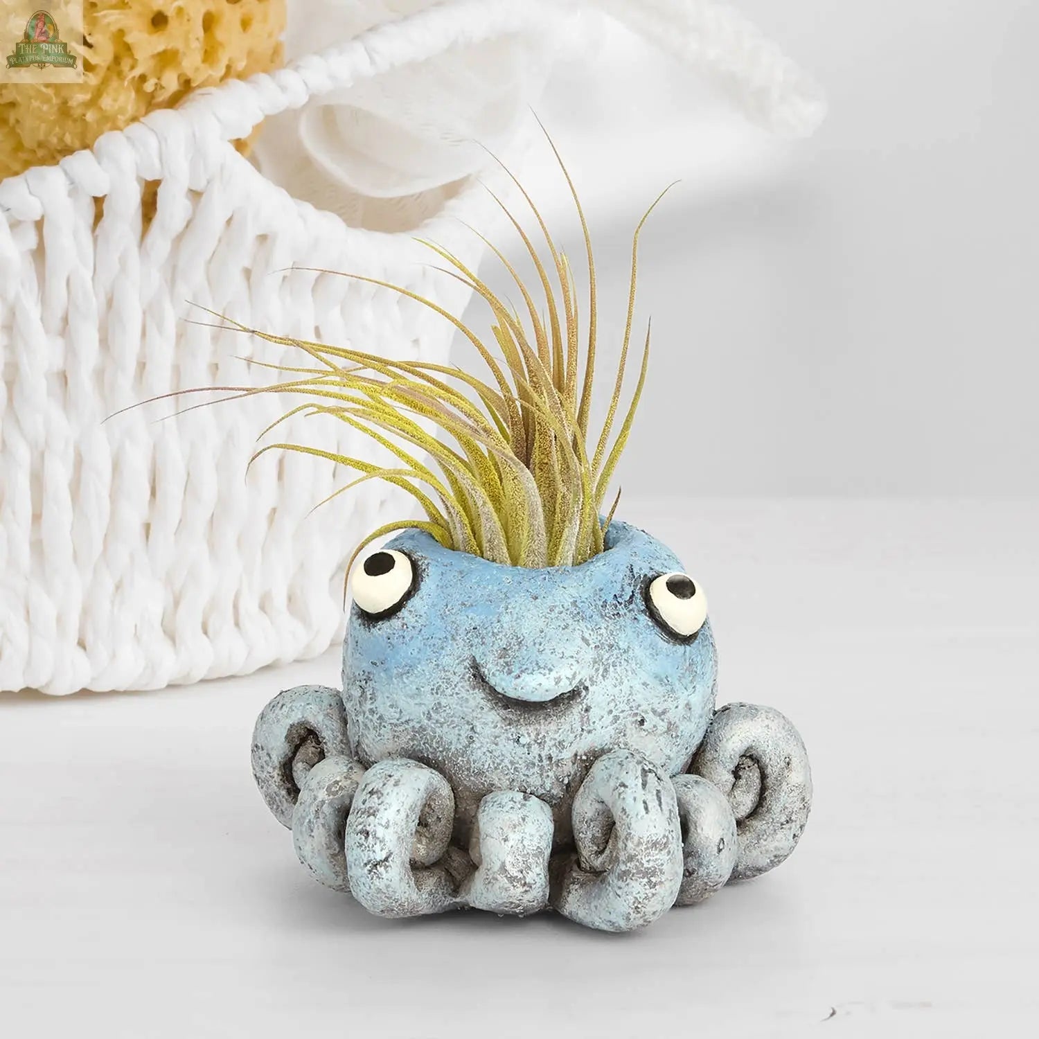 octopus planter pot Inky Octopus Blobhouse Planter