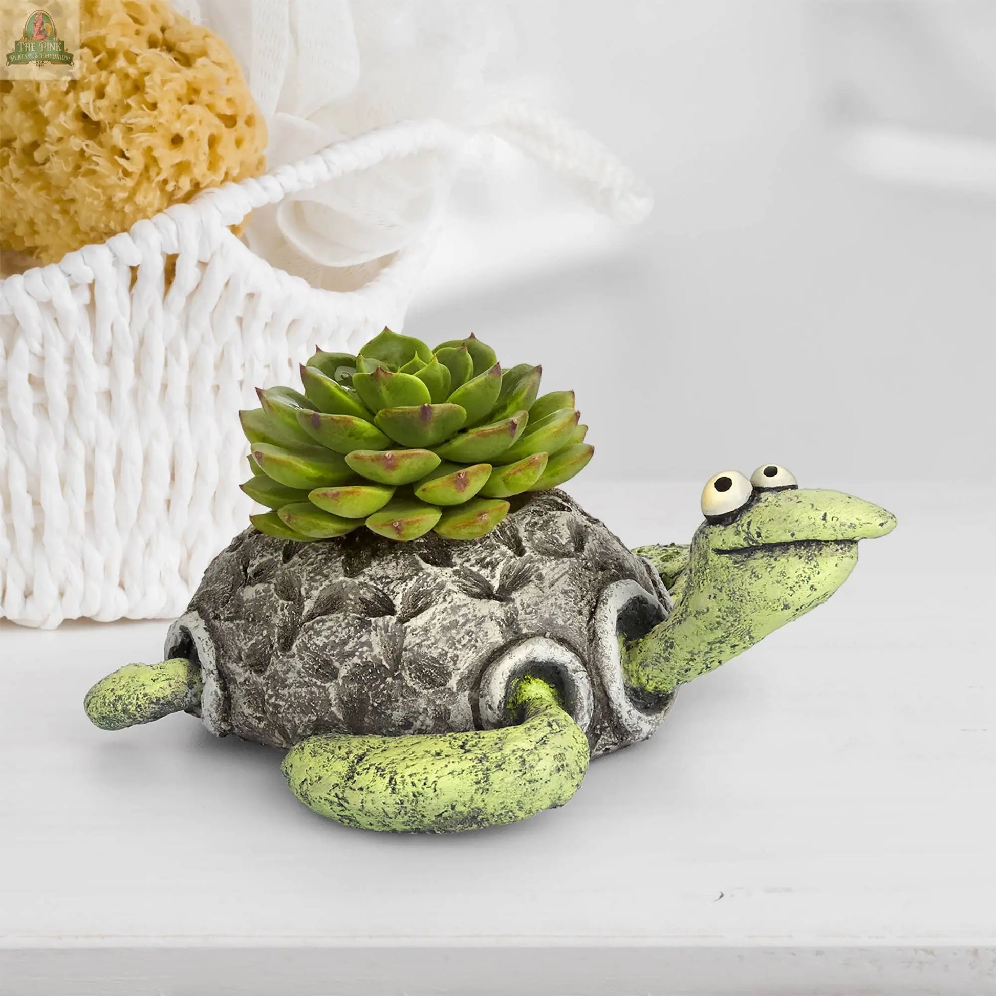 succulent tortoise planter Kai, Sea Turtle Blobhouse Planter