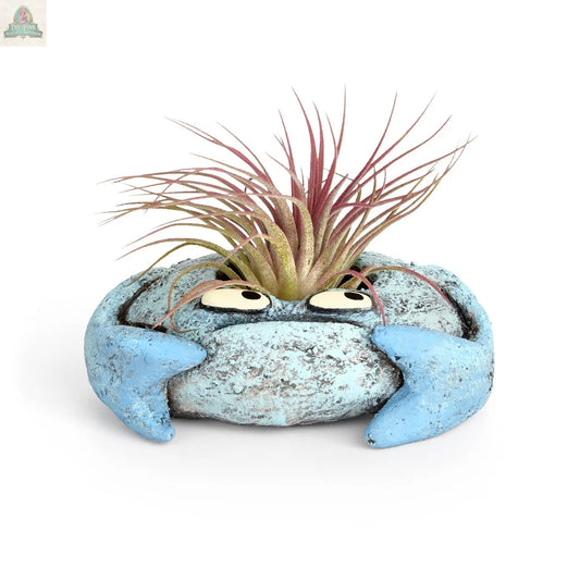 Krusty Crab Blobhouse Planter Pink Platypus Emporium