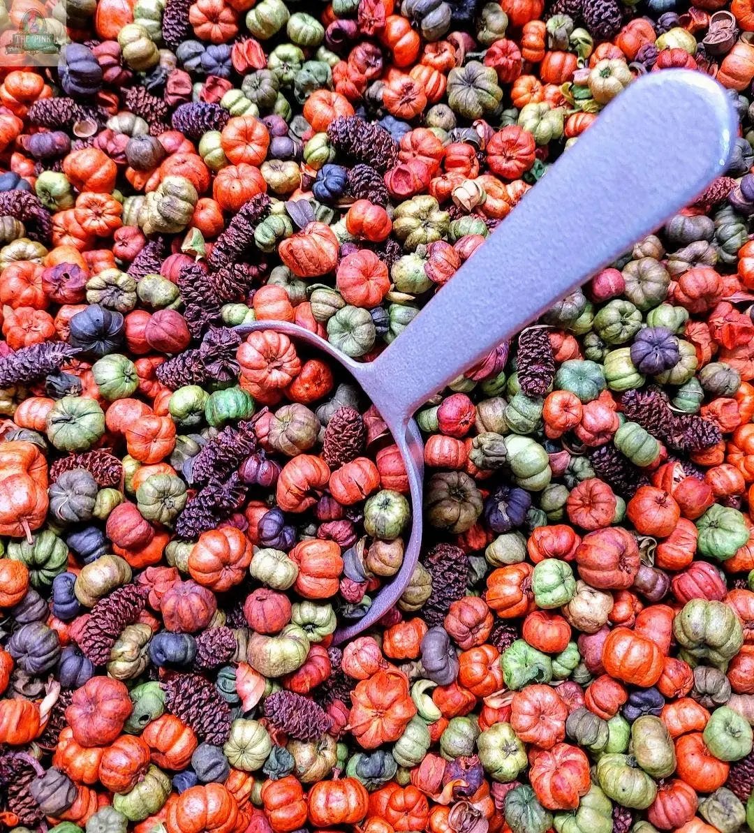 A metal scoop sits atop a vibrant mix of small dried gourds and pine cones in orange, green, red, and brown from Kuntry Bumpkin Handcrafted Potpourri- 5 cups—ideal for potpourri or adding cozy home fragrance to your space.