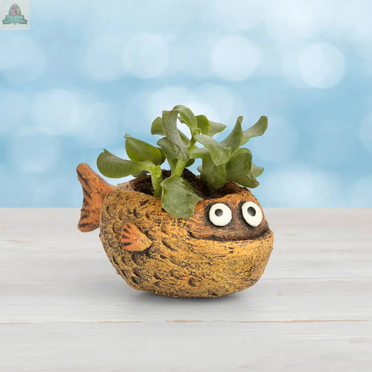 Mango Fish Blobhouse Planter Pink Platypus Emporium