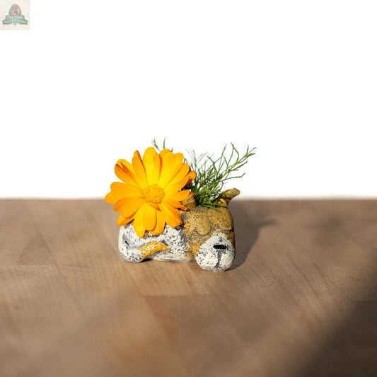 Mini Luna Dog Blobhouse Planter - Brown & White Pink Platypus Emporium