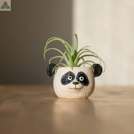 Mochi the Panda Head Blobhouse Planter Cohasset Gifts