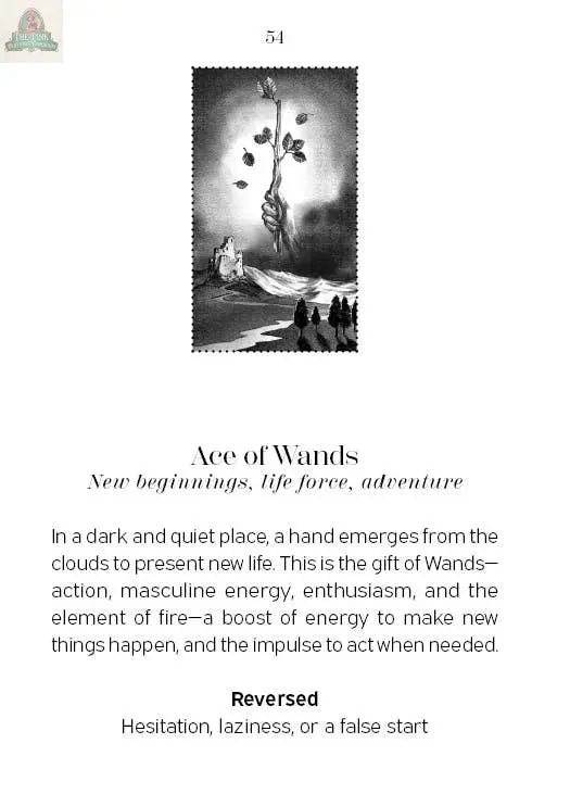 Nightfall Tarot REDFeather
