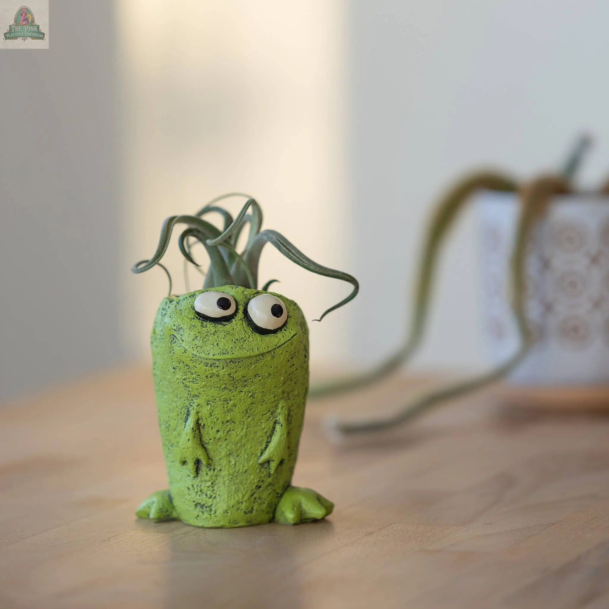 Orville Frog Blobhouse Planter - Pink Platypus Emporium