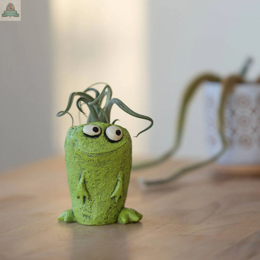 Orville Frog Blobhouse Planter Pink Platypus Emporium