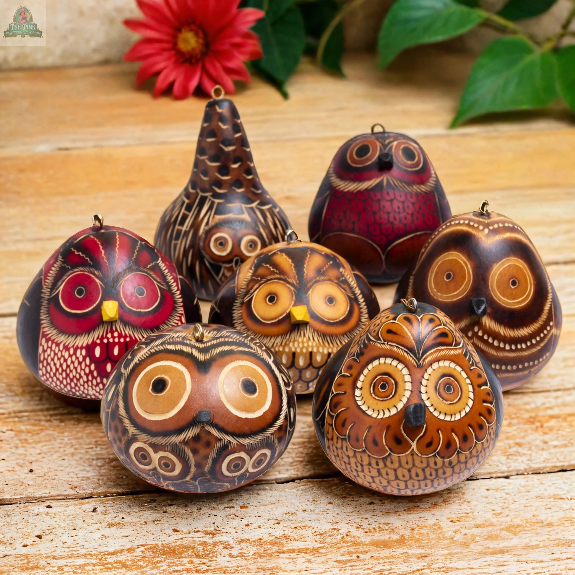 Owls Mix - Gourd Ornament - Artist Made Lucuma Designs