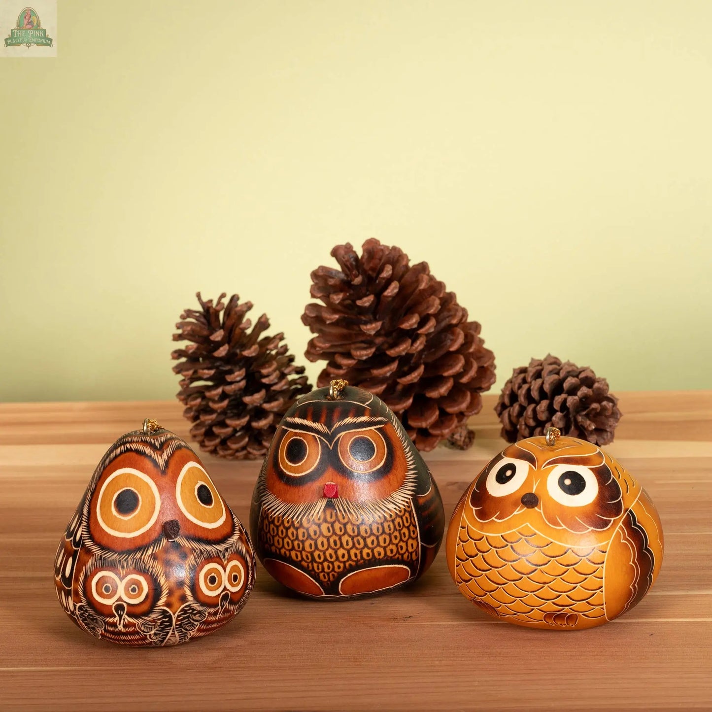 Owls Mix - Gourd Ornament - Artist Made Lucuma Designs